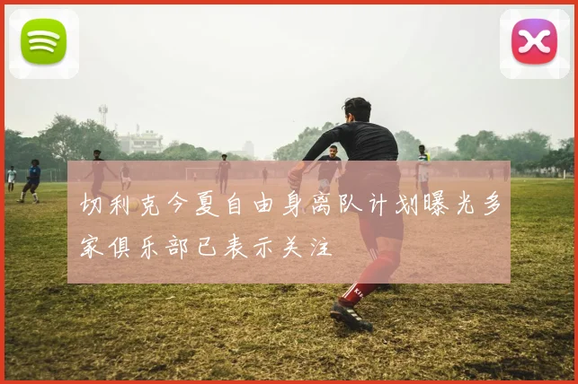切利克今夏自由身离队计划曝光多家俱乐部已表示关注