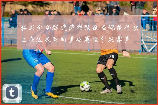 猛龙全场球迷热烈致敬洛瑞绝对功臣在垃圾时间重返赛场引发掌声