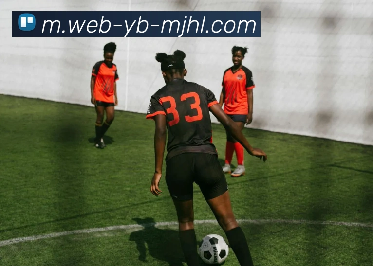 多媒体互动体验